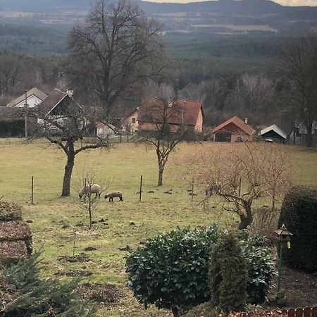 Pension S Laskou Karel Bezdez Zewnętrze zdjęcie